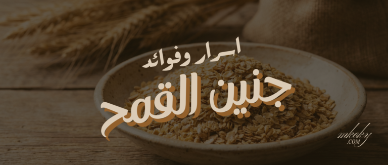 مجلة ومتجر مكوكي 84 جنين القمح كنز التغذية المفقود.. دليلكِ الشامل للجمال والصحة المثالية