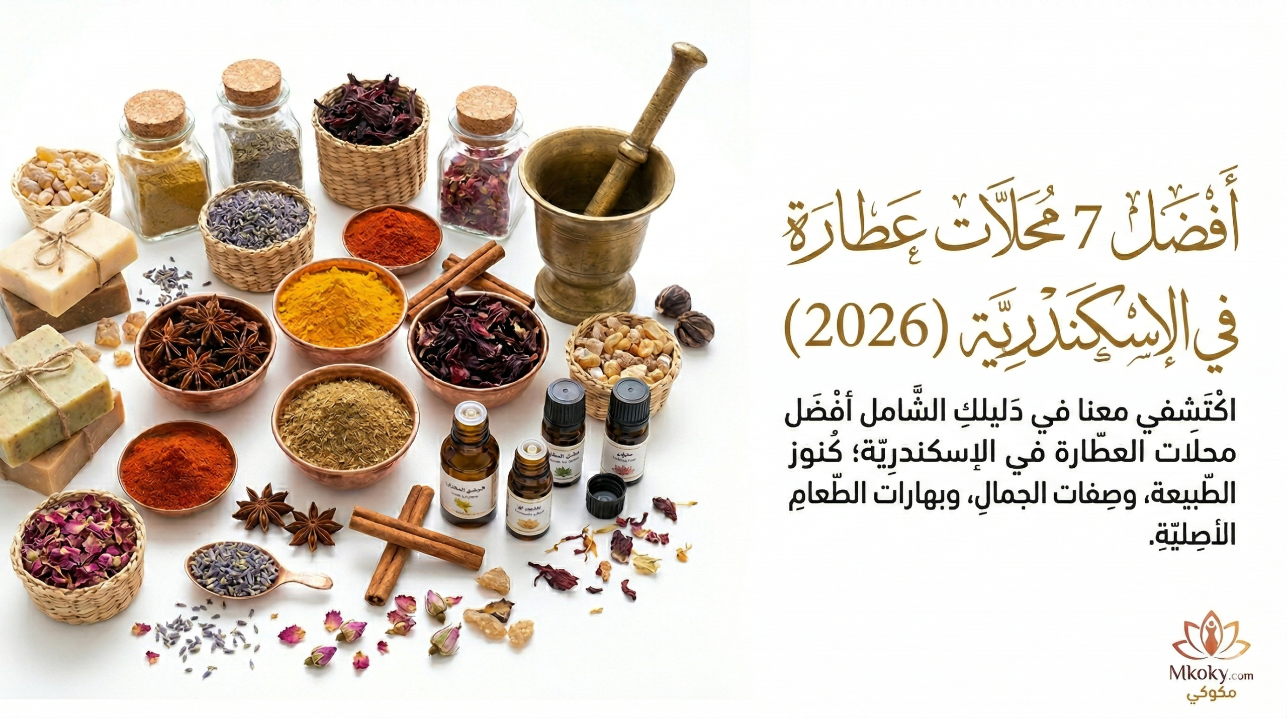 دليل أفضل 7 محلات عطارة في الإسكندرية (2026)